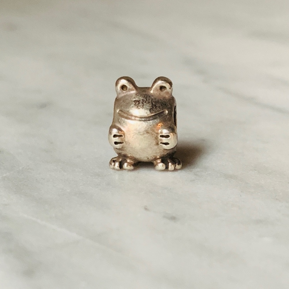 Frog Pandora Charm